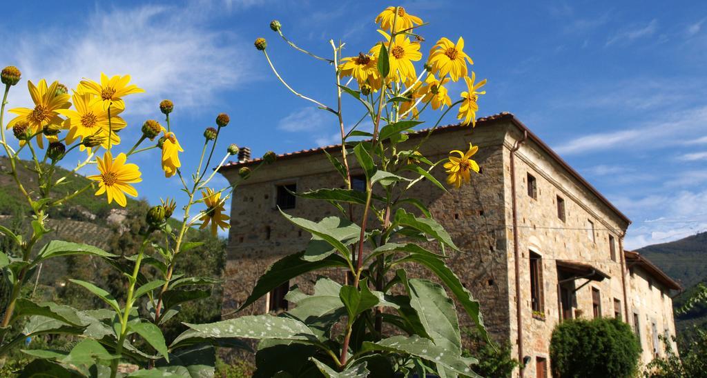 Al Palazzaccio Villa Calci Rum bild