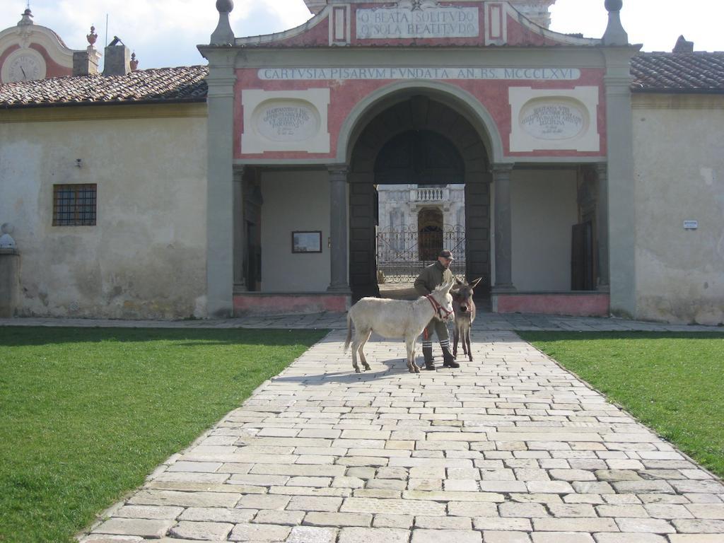 Al Palazzaccio Villa Calci Exteriör bild